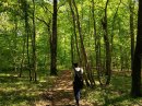 Bois de la Banvoie